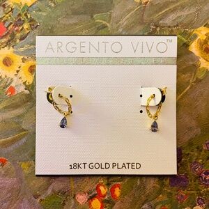 Argento Vivo Sterling Silver Earrings